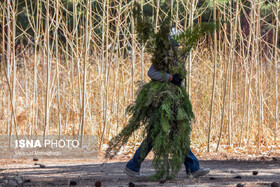 توزیع دو میلیون اصله نهال در هفته منابع طبیعی در استان سمنان