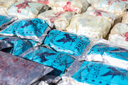 کشف یک کیلو ۹۵۰ گرم مواد افیونی شیشه در قم