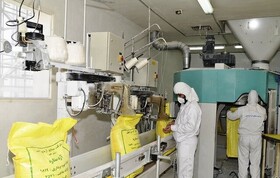 ۱۱ کارخانه سیستان و بلوچستان، ظرفیت تولید یک میلیون تُن آرد در سال را دارند