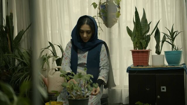 از اجرای چند نمایش تا چند داستان دیگر