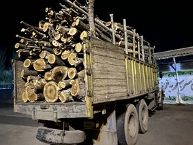 توقیف محموله چوب غیرمجاز در محور نمین - اردبیل