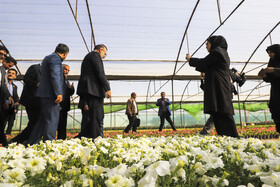 افتتاح بزرگترین گلخانه سلولزی جنوب‌شرق کشور در شهرداری کرمان