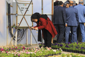 افتتاح بزرگترین گلخانه سلولزی جنوب‌شرق کشور در شهرداری کرمان