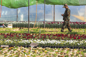 افتتاح بزرگترین گلخانه سلولزی جنوب‌شرق کشور در شهرداری کرمان