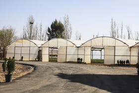 افتتاح بزرگترین گلخانه سلولزی جنوب‌شرق کشور در شهرداری کرمان