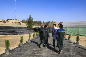 افتتاح بزرگترین گلخانه سلولزی جنوب‌شرق کشور در شهرداری کرمان
