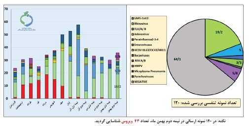 آنفلوآنزا در ۲ استان بالاتر از سطح هشدار