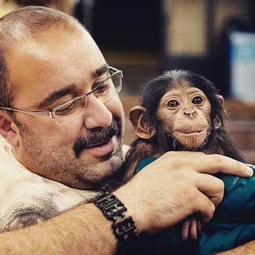 از پانچ تا شامپانزه ارم؛ وقتی دلسوزی بدون درک، به تراژدی ختم می‌شود