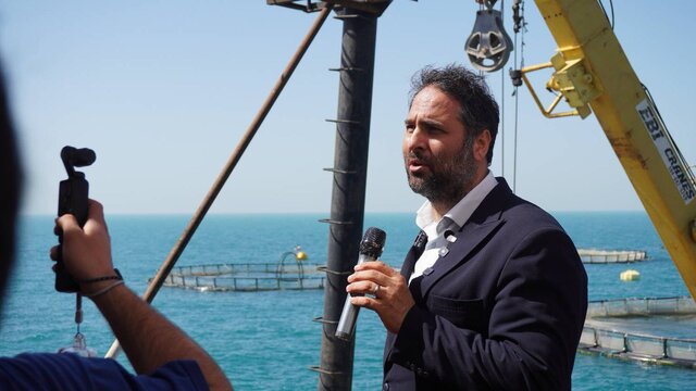 آقای بهارفر// وقتی دریا نان میدهد؛ بزرگترین مزرعه پرورش ماهی در قفس کشور در بوشهر