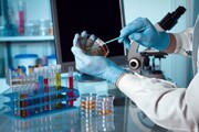 پذیرش پژوهشگر پسادکتری در دانشگاه محقق اردبیلی برای سال ۱۴۰۵