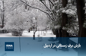 ویدیو/ بارش برف زمستانی در اردبیل