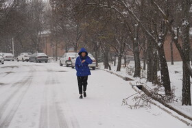 بارش برف زمستانی در اردبیل