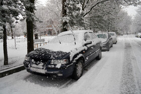 بارش برف زمستانی در اردبیل