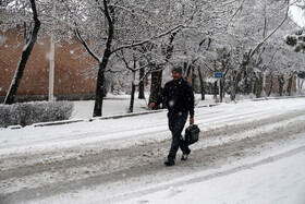 بارش برف زمستانی در اردبیل