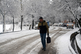 بارش برف زمستانی در اردبیل