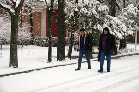 بارش برف زمستانی در اردبیل