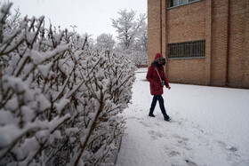 بارش برف زمستانی در اردبیل