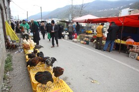 سه شنبه بازار محلی شهر زیراب-سوادکوه