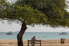 کیش؛ جزیره‌ای که زمستان ندارد