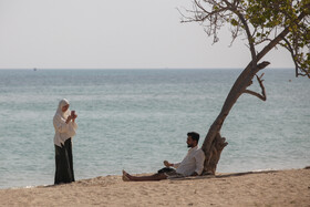 کیش؛ جزیره‌ای که زمستان ندارد