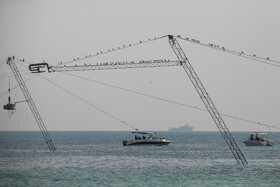 کیش؛ جزیره‌ای که زمستان ندارد