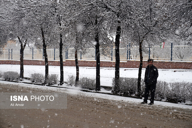 تداوم هوای سرد در کردستان/ رود سامانه برفی از صبح جمعه