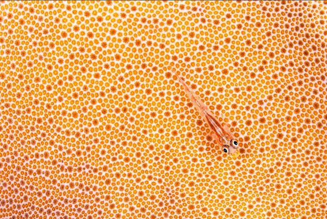 بهترین&zwnj; عکس&zwnj;های طبیعت جهان را ببینید