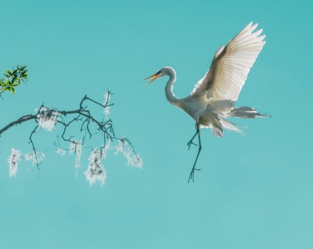 بهترین عکسهای طبیعت جهان را ببینید