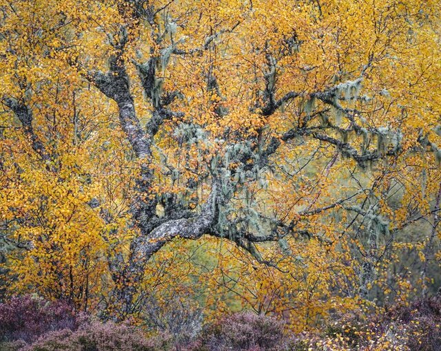 بهترین عکسهای طبیعت جهان را ببینید