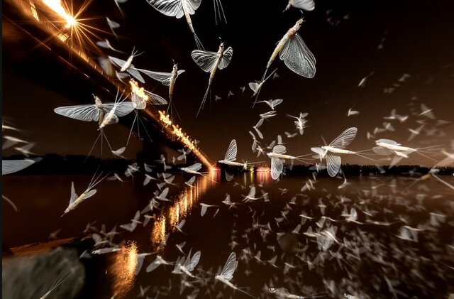 بهترین&zwnj; عکس&zwnj;های طبیعت جهان را ببینید