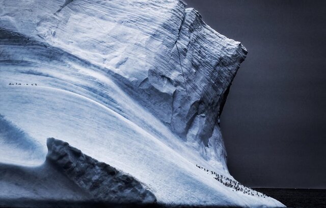 بهترین&zwnj; عکس&zwnj;های طبیعت جهان را ببینید