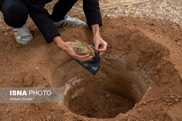مشارکت ۲۰۰ میلیارد تومانی شرکت ملی نفت در طرح بیابان‌زدایی قم