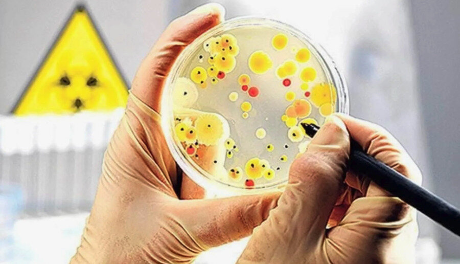 چند عامل بیماریزا در محیط خانه