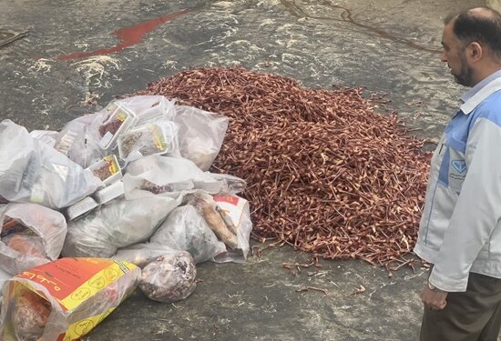 کشف بیش از ۳۵۰ کیلوگرم گوشت و فرآورده خام دامی فاسد در کرج و فردیس