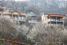 طبیعت سوادکوه در آستانه بهار