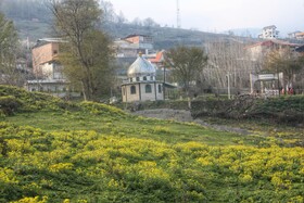 طبیعت سوادکوه در آستانه بهار