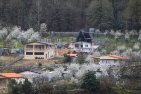 طبیعت سوادکوه در آستانه بهار