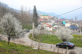 طبیعت سوادکوه در آستانه بهار