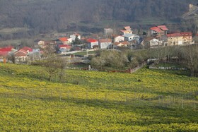 طبیعت سوادکوه در آستانه بهار
