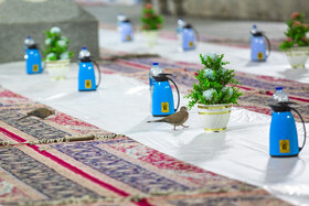 ضیافت افطار در حرم حضرت فاطمه معصومه(س)