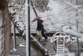 بارش برف در تبریز