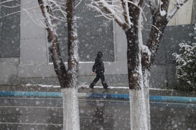 بارش برف در تبریز