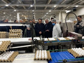 بازدید وزیر صمت از ۳ واحد تولیدی مواد غذایی
