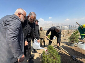 کاشت یک میلیون درخت در تهران با نام و یاد رهبر شهید و شهدای حمله امریکایی-صهیونی