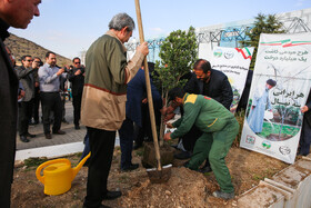 کاشت ۱۷۳ هزار نهال در پویش سرو ایران در خراسان رضوی