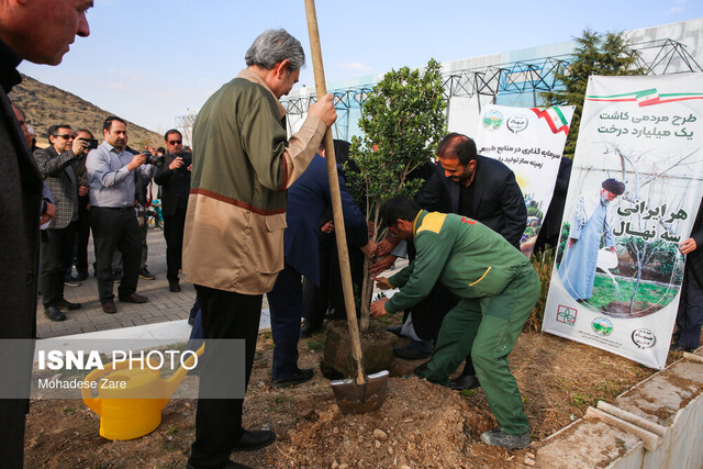 کاشت ۱۷۳ هزار نهال در پویش سرو ایران در خراسان رضوی
