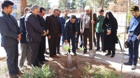 کاشت ۵۰۰۰ درخت به نیت رهبر شهید و به نام دانش‌آموزان مینابی در مدارس استان کرمان