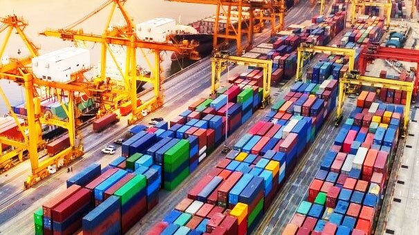 نائب رئیس کمیسیون کشاورزی: ذخایر کالاهای اساسی در سطح مطمئن قرار دارد