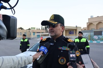 دستگیری ۳۶ سارق در یزد