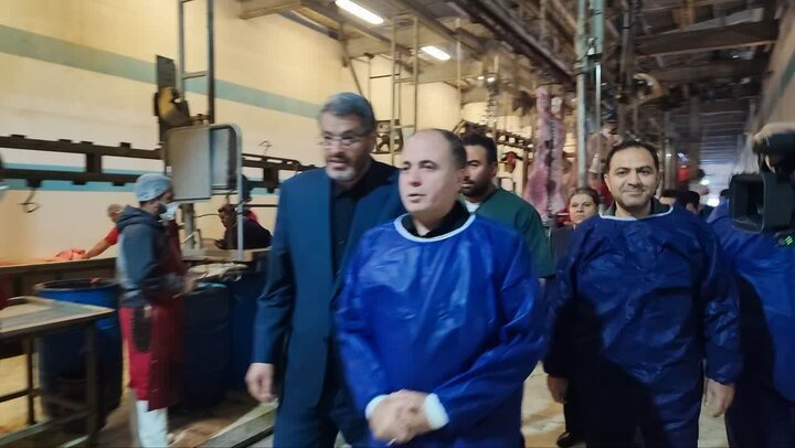 وزیر جهاد کشاورزی: نگرانی برای تأمین گوشت قرمز در کشور وجود ندارد